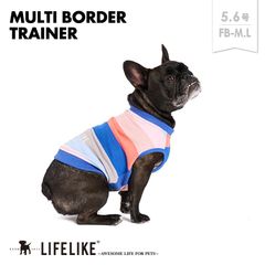 【マルチボーダートレーナー5-6号FB／ブルー】犬 服 ボーダー トレーナー 小型犬 中型犬 コーギー ビーグル アメコカ シェルティ 柴犬 フレブル 犬服 ドッグウェア 犬の服 ペット服 洋服 ペット用品 お散歩［ライフライク LIFELIKE公式］