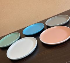 韓国 パスタプレート プレート 単品 パスタ皿 くすみカラー