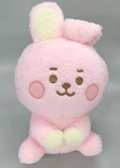 [중고] 봉제 인형 COOKY (정국) 부드러운 컬러 봉제 인형 [BT21] 트레바 한정