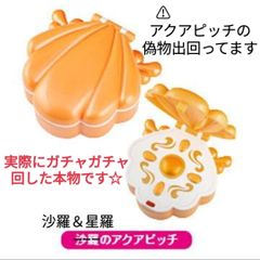 本物☆ぴちぴちピッチ 沙羅＆星羅 アクアピッチ アクセサリーケース 新品未開封