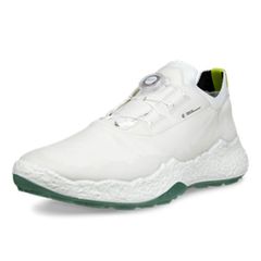 eccoゴルフシューズ BIOM TOUR BOA サイズEU42 JP26 - メルカリ