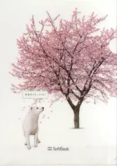 【中古】クリアファイル softbank 春 お父さんクリアファイル softbankノベルティグッズ