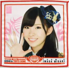 【中古】タオル・手ぬぐい(女性) 岩佐美咲 推しタオル 「AKB48 in TOKYO DOME～1830mの夢～」