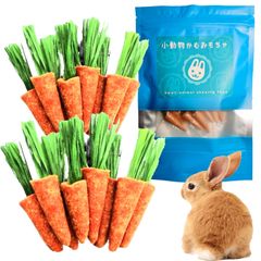 食品 コメ必須⭕はるのかじり木՞•ﻌ•՞様 専用