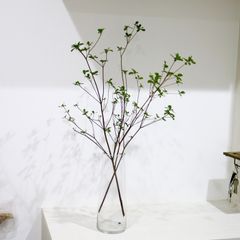 フラワーベース 込み アセビ 枝物 インテリア 装飾 生花 馬酔木 オシャレ 枝 3317d7904757a11d32703da69c6c7d