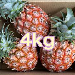 沖縄 石垣島産 ピーチパイン4kg