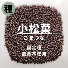 【種】こまつな　小松菜　農薬不使用　150粒