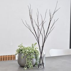 北欧風 白樺 ブランチ LEDツリー 80cm クリスマスツリー ブラウン 2本