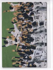 ２０１６プロ野球チップス第１弾　C-2　セ・リーグ優勝（ヤクルト）