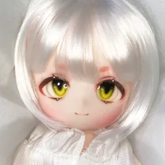 カスタマイズ】TinyFox 1/6スケールドール用ヘッド型番06S※注文
