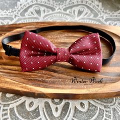 Item thumbnail for item bdffa2c0-d131-4f8c-95ea-2582cb335a1c