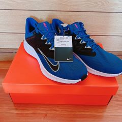 NIKE スニーカー CD0230-400 29cm