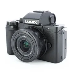 最終値下げ早い者勝ち【美品セット売り】ミラーレス一眼　LUMIX-G100 2025年最新】lumix g100の人気アイテム - メルカリ