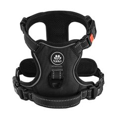 Item thumbnail for item 22f21040-b6f0-49da-93b9-265c515cb63e