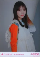 与田祐希 ビッグ アクリルスタンド 乃木坂46 2025 lucky bag