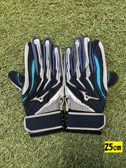 ミズノプロ　バッティング手袋　イチローモデル　両手組　25㎝