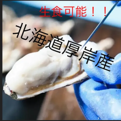 北海道厚岸産　殻付き牡蠣Lサイズ　75個