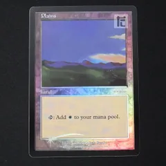 2025年最新】平地 foilの人気アイテム - メルカリ