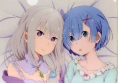 【中古】クリアファイル エミリア＆レム A4クリアファイルVol.1 「Re：ゼロから始める異世界生活 Memory Snow×セガ」 UFOキャッチャー特典