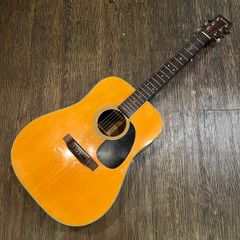 Takamine Elite TW-20 Acoustic Guitar アコースティックギター