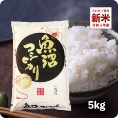 新米 魚沼産コシヒカリ5kg お米 令和５年産 白米