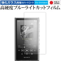 早い者勝ち✨️NW-A306/BTR/B 中古品 2025年最新】nw-a306の人気アイテム - メルカリ