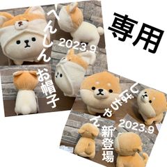 ★専用ページです★
