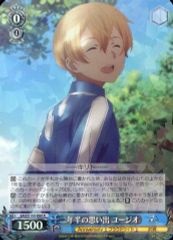 [중고]바이스슈바르츠 SAO/S100-080[R]:2년 반의 추억 유지오