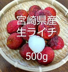 ライチ　宮崎県産　生ライチ　500g入　クール発送