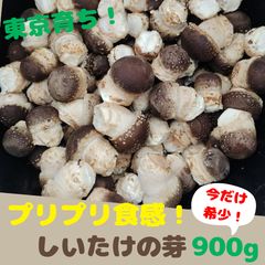 新鮮】約800g 東京育ち無農薬しいたけの芽 1時間天日干し済 冷凍保存可