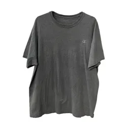 Champion 半袖 ロゴ Tシャツ XL グレー チャンピオン クルーネック 古着卸 アメリカ仕入 a707-5783