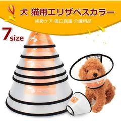 Item thumbnail for item 798af46a-67db-4122-8d5e-4c91f4018755