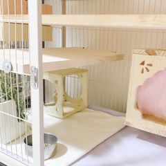 Item thumbnail for item a15f6719-bd2b-4e73-9e1e-dcd7875646e1