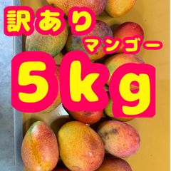 クール便発送！沖縄県産 アップルマンゴー(※家庭用)5kg - メルカリ