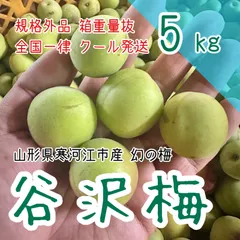 【⭐︎aki⭐︎】山形産 農薬不使用❗️希少在来種 谷沢梅 サイズ混合 5㎏ ⑧ 2025年最新】谷沢梅の人気アイテム - メルカリ