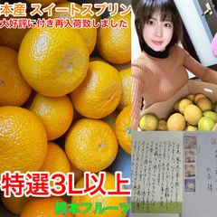 味に当たりハズレなし！見た目を裏切る美味しさ【熊本産スイートスプリング】3Lサイズ約5kご家庭用