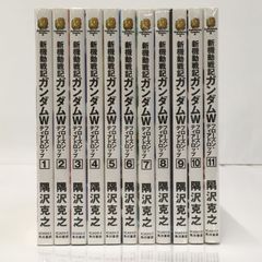 新機動戦記ガンダムＷ フローズン・ティアドロップ 1～11巻セット 250630 01143wa◇1