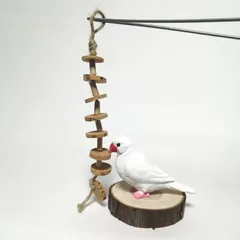 バードトイ　インコ　鳥　ハムスター　うさぎ　おもちゃ　「カジカジ　コルク円板ver.」