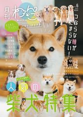 月刊わんこ vol.6 特別号「中型犬／柴犬特集」