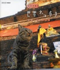 Item thumbnail for item af1f51a3-ad2c-44d4-8c97-0d8930dbb937