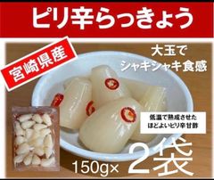 【宮崎のお漬物】ピリ辛らっきょう150ｇ　2袋セット　甘酢が美味しいピリ辛