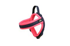 Item thumbnail for item c526a188-2f20-48ed-9bc1-146a38357cbb