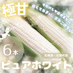 とうもろこし プレミアム味来 香川県産 スィートコーン | Mercari