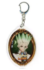 2025年最新】dr.stone 推しくじ シンデレラの人気アイテム - メルカリ