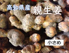 高知県産 親生姜 箱込 ２ kg(正味1.7kg) 土付きのサムネイル