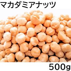 マカダミアナッツ 500g チャック袋 旨塩味 オーストラリア産 MACADAMIA NUT マカデミアナッツ 黒田屋