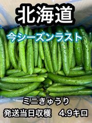 さいか農園 - メルカリShops 