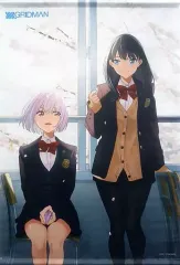 2025年最新】SSSS.GRIDMAN ヒロインアーカイブ アカネ&六花の