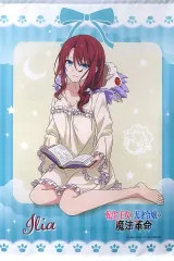 2025年最新】転生王女と天才令嬢の魔法革命 タペストリーの人気