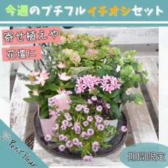 2025年最新】水やり花子の人気アイテム - メルカリ